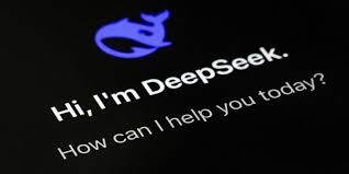 deepseek selflearning